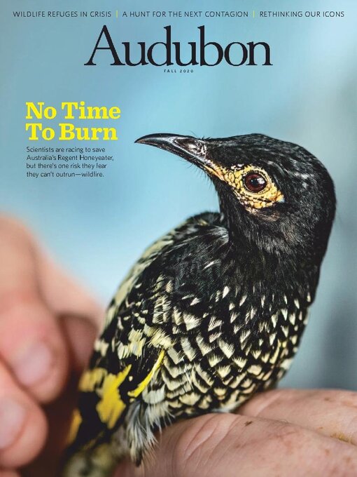 Title details for Audubon Magazine by National Audubon Society - Available